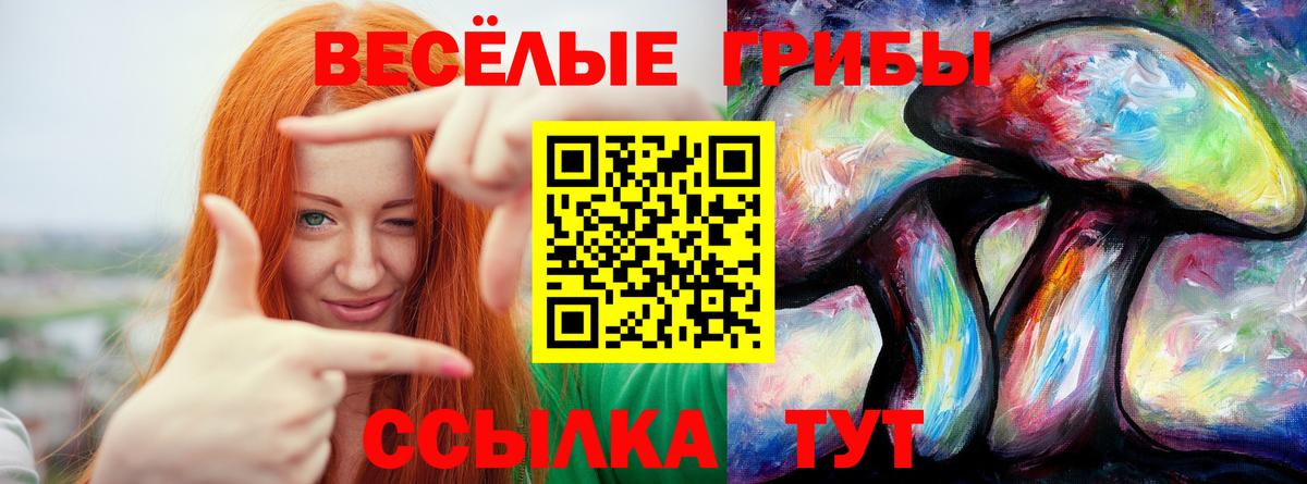 Звенигород  Галлюциногенные грибы Magic Shrooms  Псилоцибиновые грибы MAGIC MUSHROOMS  даркнет сайт  Вход с VPN 